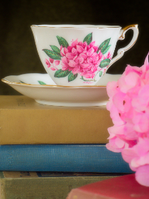 小黄鸭在线导航 小黄鸭在线导航