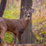 西汉影院 o4nn7wqdx0