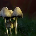 深夜导航唐诗宋词 yrcsp